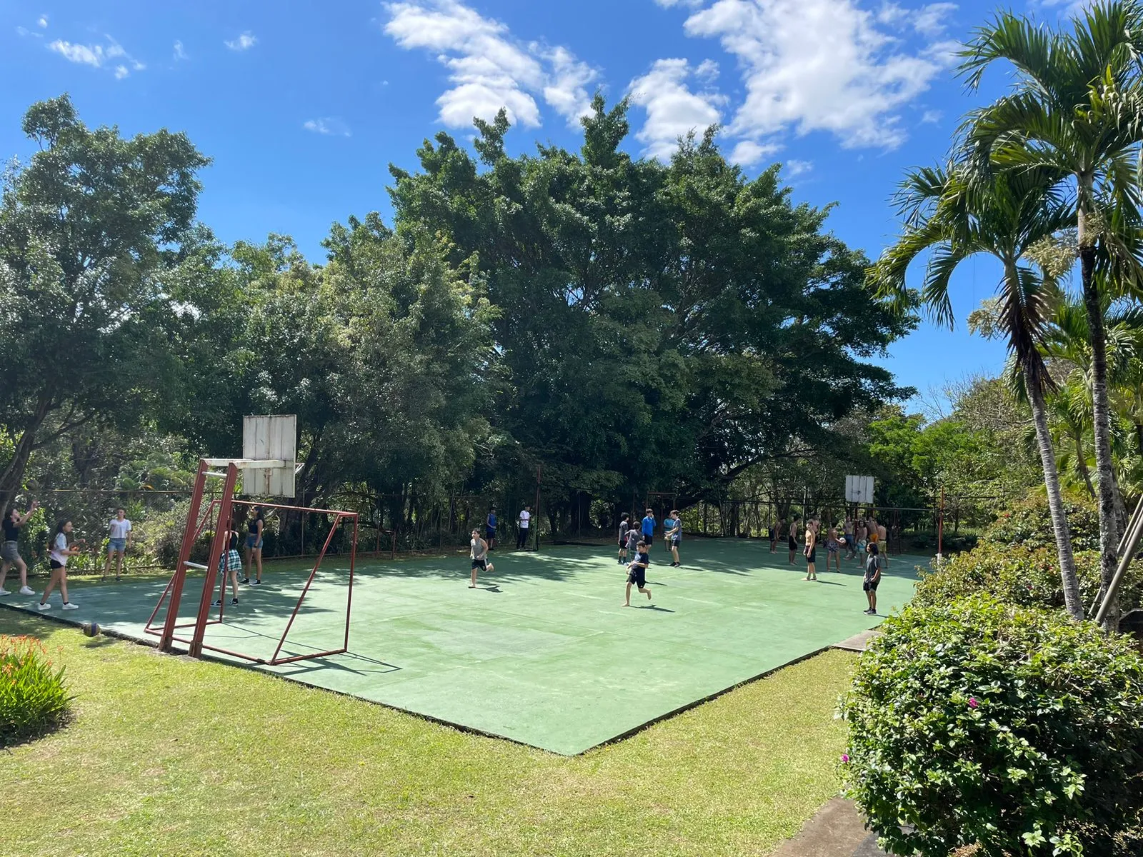 Las piscinas y los jardines (5/9)