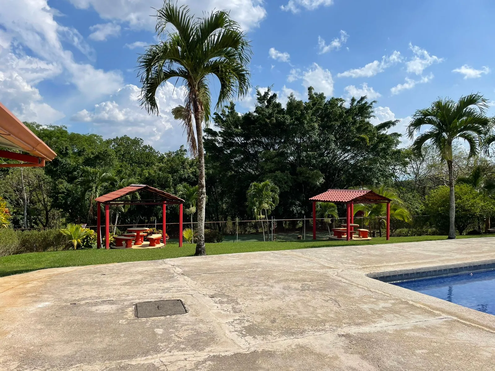 Las piscinas y los jardines (3/9)