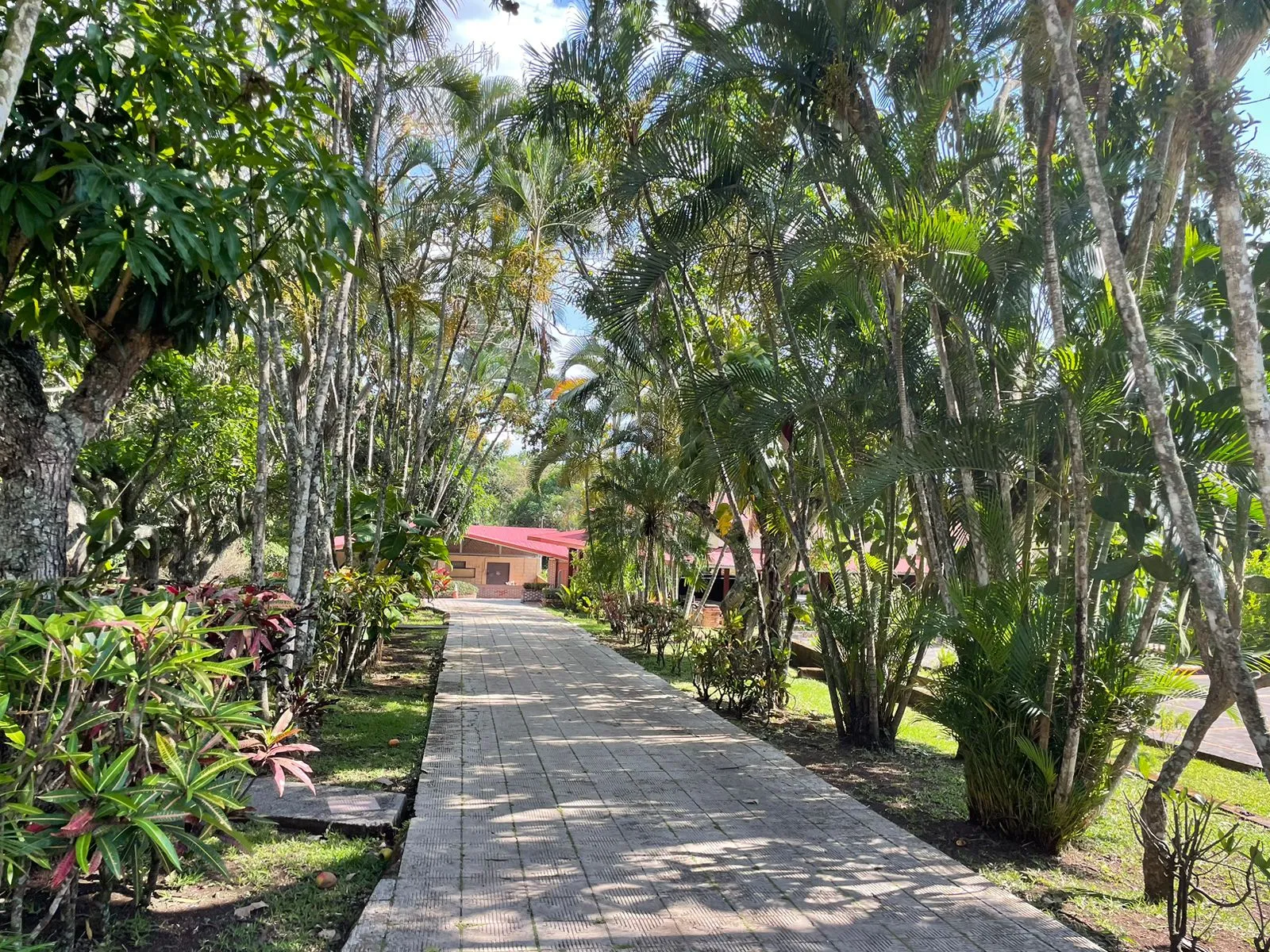 Las piscinas y los jardines (6/9)