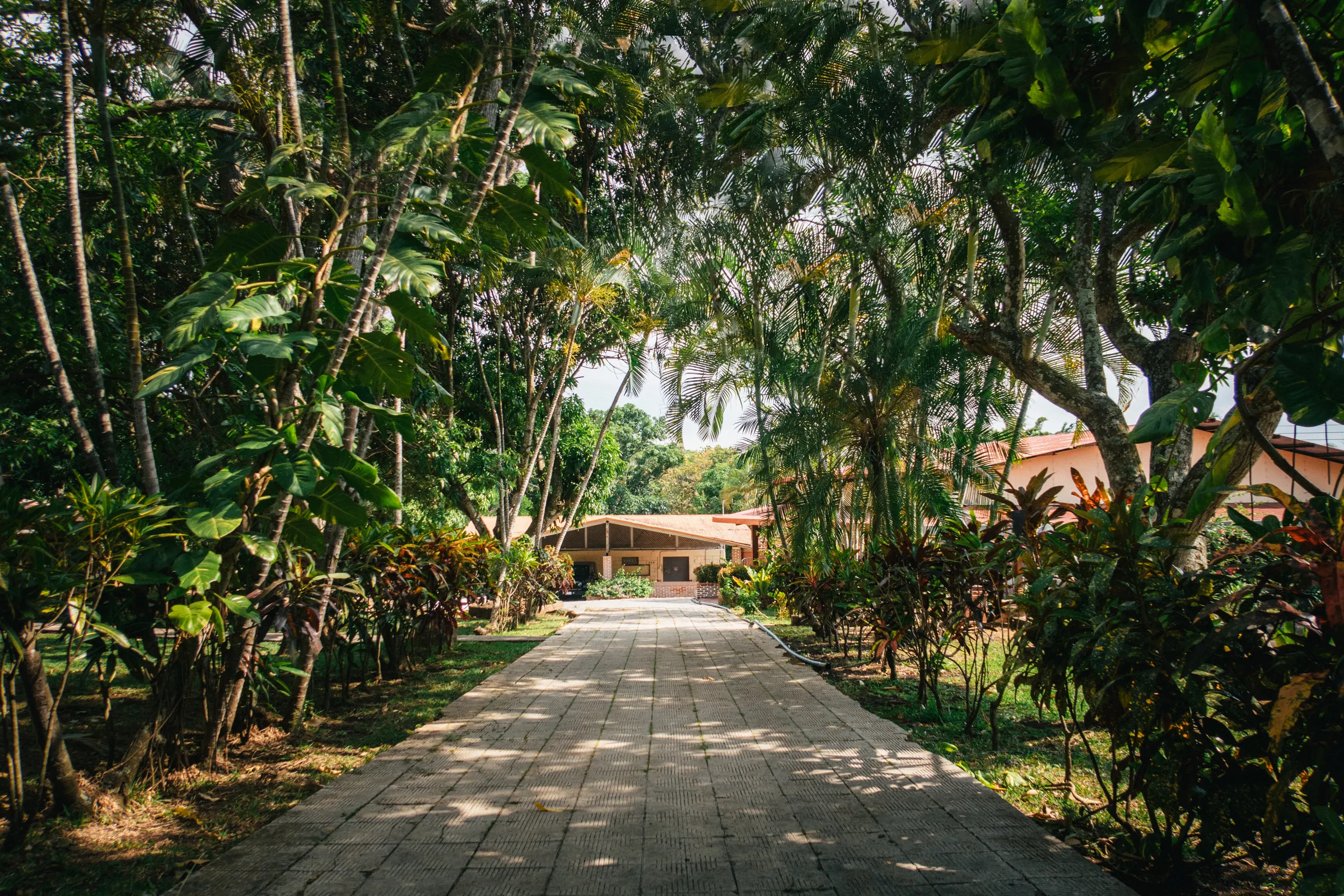 Villas Norma (7/9)