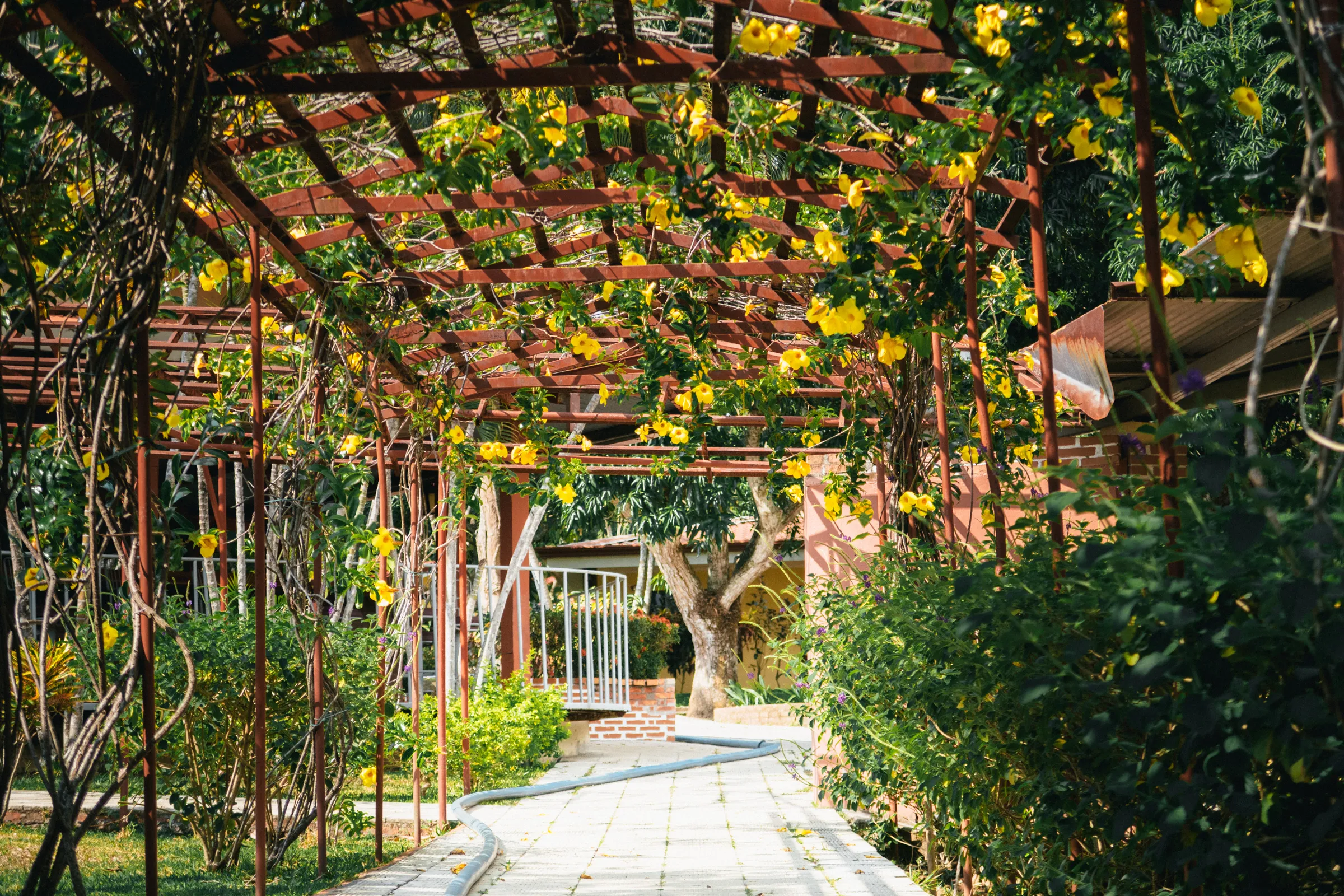 Villas Norma (2/9)