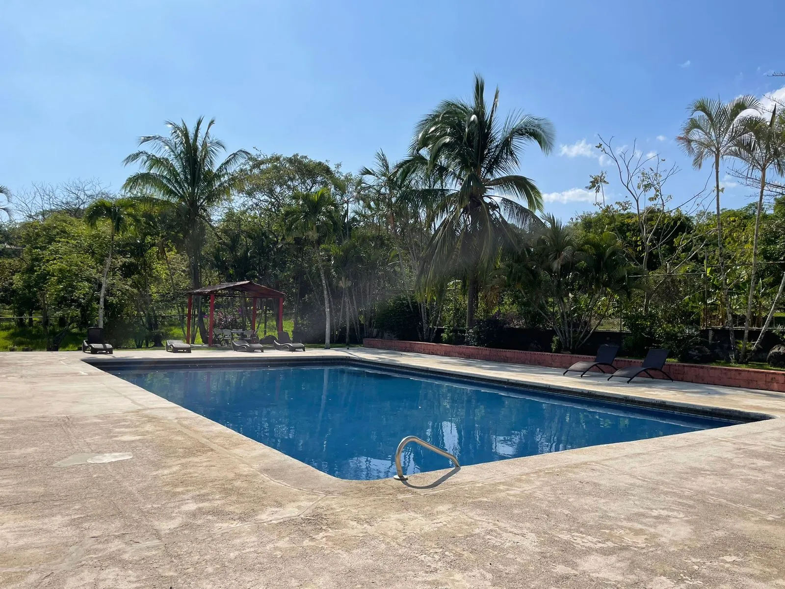 Las piscinas y los jardines (2/9)