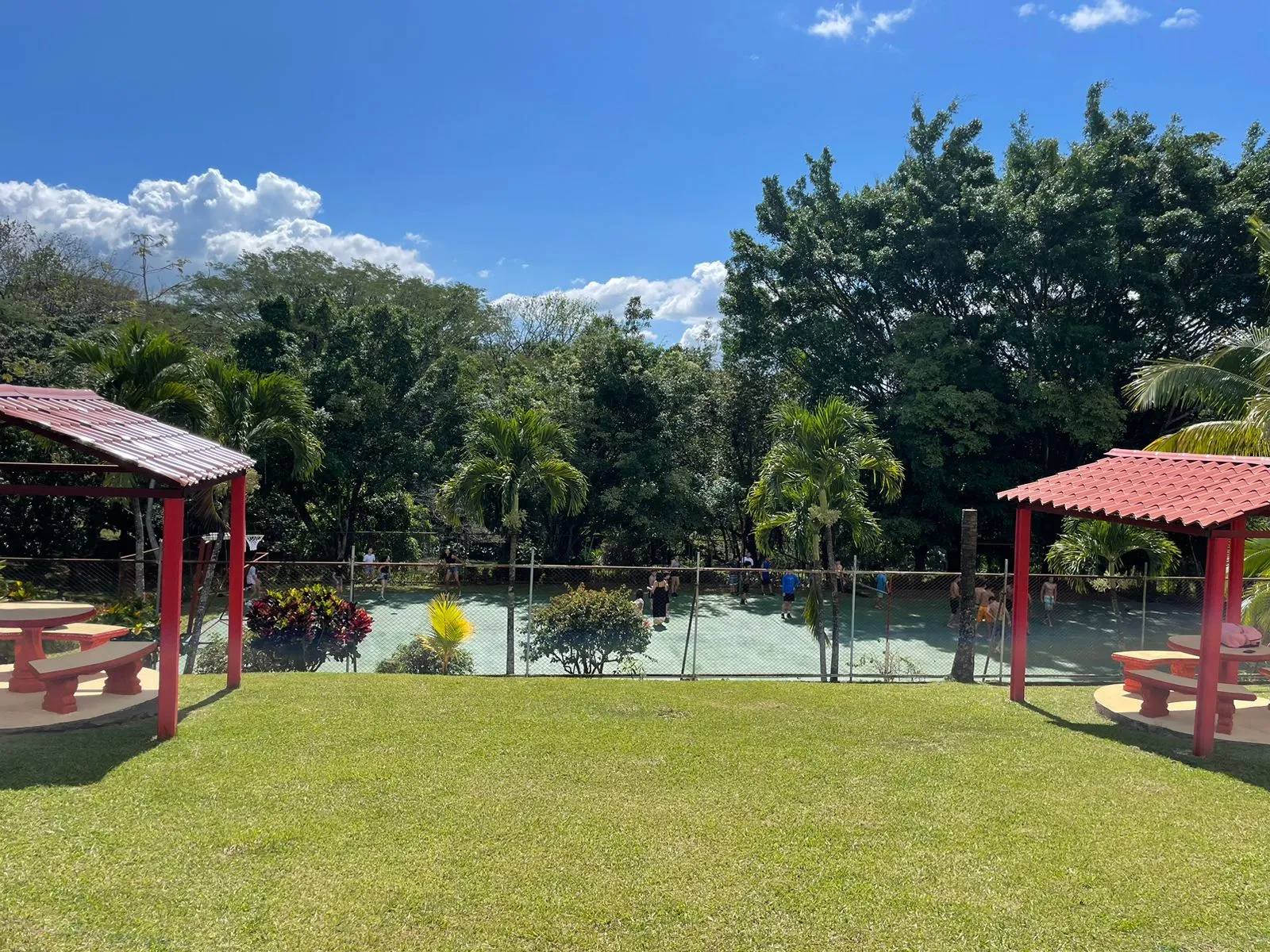 Las piscinas y los jardines (4/9)